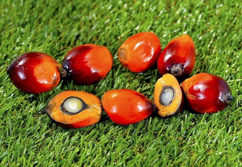 What Is Palm Oil?